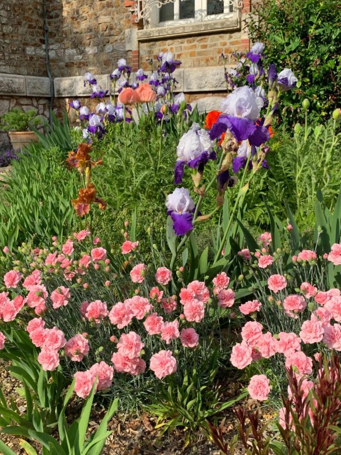 Le Manoir Des Rochers Bouere Exterior foto
